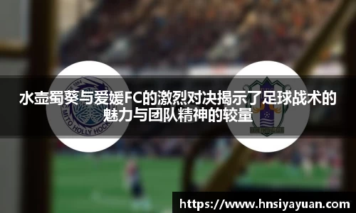 水壶蜀葵与爱媛FC的激烈对决揭示了足球战术的魅力与团队精神的较量
