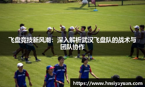 飞盘竞技新风潮：深入解析武汉飞盘队的战术与团队协作