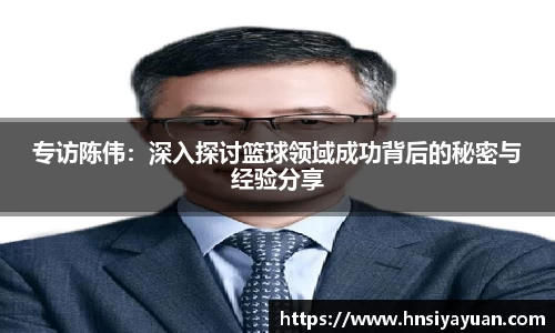 专访陈伟：深入探讨篮球领域成功背后的秘密与经验分享